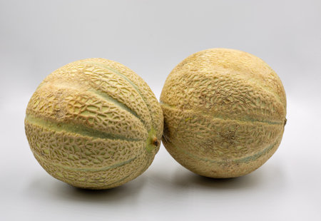 Studio shoot of two fresh ripe juicy whole melons closeup on white.の写真素材
