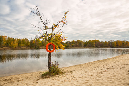 Autumn landscape with river beach, cloudy sky and lifebuoy hanging on tree.の写真素材