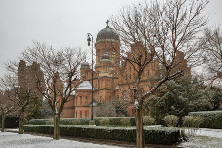 Chernivtsi National University (the former Metropolitans residence) Three Hierarchs Church in winter, Ukraine.の写真素材
