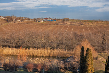Picturesque rural autumn landscape with garden lake, vineyards and farm fields in Purcari, Moldova.の写真素材