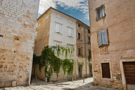 Picturesque narrow stone street with green climbing plants in a historic European town Porec, Istria, Croatia. Sunny day, old architecture, charming alley, peaceful scene, Mediterranean atmosphere.の写真素材