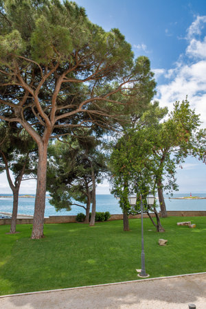 Beautiful Mediterranean coastal park with tall pine trees, green lawn, street lamp and scenic sea view with blue water and cloudy sky in Porec, Istria, Croatia.の写真素材