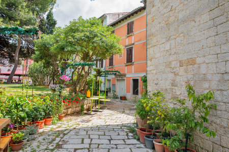 Quiet courtyard with potted plants and blooming flowers beside colorful old buildings in the historic center of Porec, Croatia. Peaceful summer garden scene.の写真素材