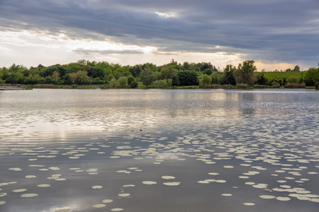 Serene Boating lake view in Nagykanizsa, Hungary, with lily pads floating on calm water, surrounded...