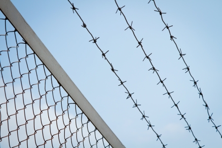 Barbed wire and metal mesh against the sky
