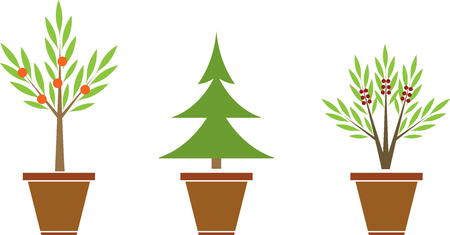 Set of plants in potsのイラスト素材