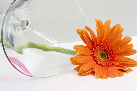 Love message with a flowerの写真素材