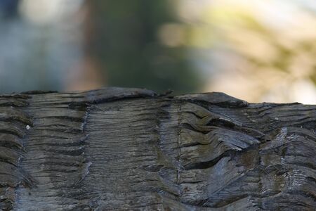 texture background pattern crack old brown for designの写真素材