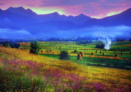 Carpathian Summer is the warmest and beautiful time of year, the abundance of flowers, clear lakes, lush alpine meadows of grass, fresh air attract people from citiesの写真素材