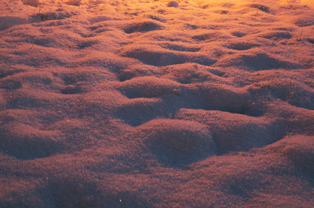 sunset and dawn rays stained snow, frost in the fi incredible colors like tropical sunset over the sea, it is the natural beauty of frost in the morning or in the evening in the bitter cold clear dayの写真素材