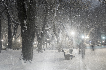 Severe weather in Kiev citizens favorite park, twilight hid fog and snowfall old trees, fall asleep benches, lights shine through the mist, cold and damp, a strong wind blows snowflakes quickly through the branchesの写真素材
