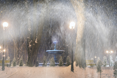 Severe weather in Kiev citizens favorite park, twilight hid fog and snowfall old trees, fall asleep benches, lights shine through the mist, cold and damp, a strong wind blows snowflakes quickly through the branchesの写真素材
