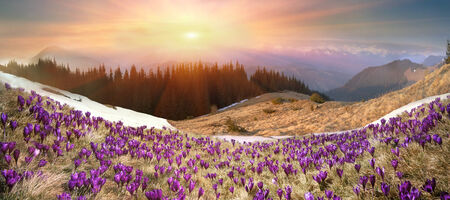 In March-April after a winter in the mountains of unstable weatherの写真素材