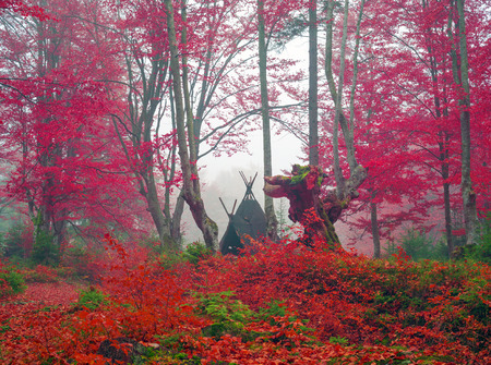 Indian tepee in autumn forest built hippie flower children for outdoor life in an old beech forest....