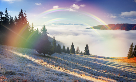 In the Carpathians, golden autumn cold often turns into snow, and then again come warm sunny days. Against the background of high mountain ranges and beautiful beech forests scenicの写真素材