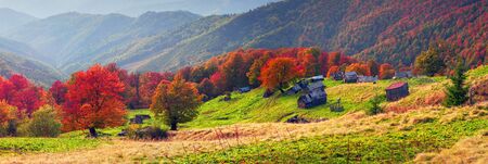 shepherds leave the pasture before the first snow and frost deserted house asylum sheds remain until...