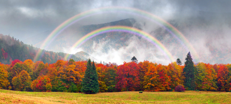 Air Morning mist at sunrise over the alpine forests and meadows of the Carpathians fall is very beautiful after the rain. Picturesque and paint colors of autumn foliage in the wild in Ukraineの写真素材