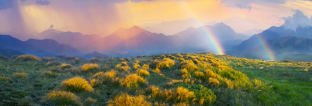 In the highlands of Ukrainian Carpathians growing beautiful grass in background the highest peaks Svidovets, autumn sun illuminates its golden rays of the early morning and in the evening at sunsetの写真素材