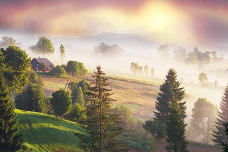 Morning mist filled peaks ridges mountain valleys in wild Carpathian Ukraine. Golden sunrise rays...