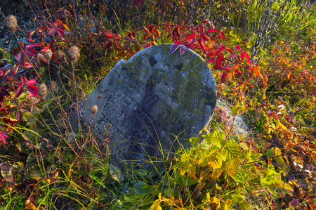 Ukraine, Aleksandrovka - 6 November 2015: Jewish cemetery ("Beit Almine" or "beit kvarot") - a cemetery where Jews are buried in accordance with Jewish tradition. The land in the cemetery is considered sacredのeditorial素材