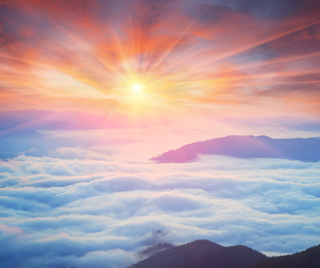At dawn, after a warm rain ridges Chornogory haze enveloped with rays of sunshine. Sea fog in the pink light is very beautiful and fabulous, picturesque vague wave rolled on the slopes of the peaksの写真素材