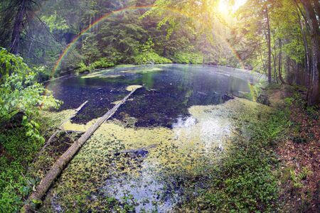 Mountain Lake in the wild taiga during heavy rain. Old wood on a background of magic and fairy tale, according to legend, the water, water and mermaids live, people do not have.の写真素材