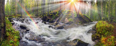 River at sunrise in the Carpathian forest - fast jet of water at slow shutter speeds give a beautiful fairy-tale effect. Ukraine is rich in water resources, in the Carpathian Mountains is legendary good ecologyの写真素材