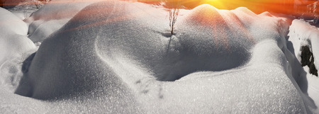 Alpine snow crystals after a severe weather threatening and frightening frost all life in the Carpathian Mountains, Ukraine. Beautiful shiny snowflakes at sunrise, whimsical picturesque patternsの写真素材