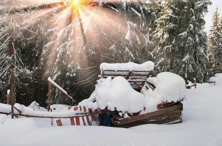 Alpine house after a severe bad weather threatening, menacing and frightening. Foresters, hunters and mountain tourists come here before climbing the Black Mountain - Pop Ivanのeditorial素材