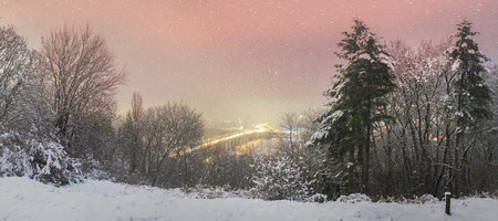 View a night of the Botanical Garden of the bridge Paton and promenade, by which citizens are ferried in a residential area on the left bank of the center of the capital of Ukraine. The view from the highest mountainの写真素材