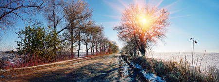 After rain and fog frost bound Autumn grass in shining armor, a blade of grass - icicles on the ice against the backdrop of the forest beautiful colorful scenic shine sparks soon winter snow fall in Ukraine.の写真素材