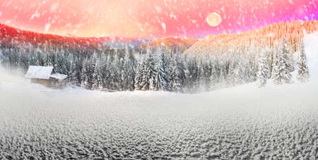 Snow-covered slopes of the Ukrainian Carpathians in the afternoon, and at sunrise and sunset is beautiful and attractive. Slender fir and lush beech shackled by frost and rime, houses decorated with views of the Shepherdsの写真素材