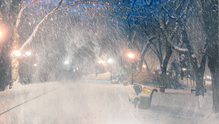Severe weather in Kiev citizens favorite park, twilight hid fog and snowfall old trees, fall asleep benches, lights shine through the mist, cold and damp, a strong wind blows snowflakes quickly through the branchesの写真素材