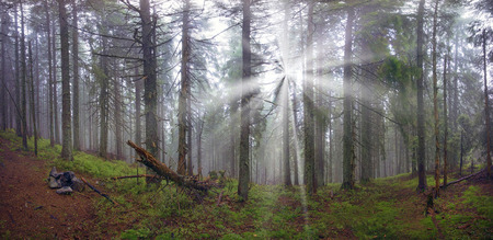 Alpine autumn panorama, scenic sunrise in the beautiful Carpathian forest after rain shining colors and the freshness and coolness of the morning - will clear the new day and good weather after the stormの写真素材