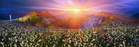 Green tent camp set up for a romantic overnight stay right on top of the mountain Pop Ivan Marmaroshsky, 1937m. Ukraine, the Carpathians, the state border with Romania.の写真素材
