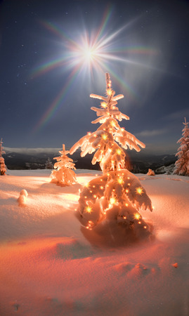 Frosty winter night of Christening - magic light fairy lights on a snowy background in Alpine spruces forest after a snowstorm in the rugged mountains of Europe during the moon fairyの写真素材