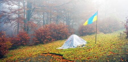 Tent tourist lonely backfilled dry fallen autumn leaves in the rain and bad weather in  wild Carpathian forest misty Ukraine. Ancient old beeches in a beautiful dense fog fabulous beautifulの写真素材