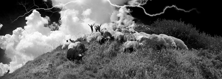  mountainous region Strymba shepherds hutsuly lead the flock of fluffy sheep milk on the alpine mountain pasture in anticipation of rain and thunderstorms lightningの写真素材