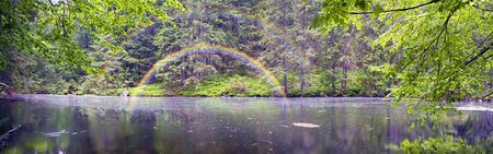 Mountain Lake in the wild taiga during heavy rain. Old wood on a background of magic and fairy tale, according to legend, the water, water and mermaids live, people do not have.の写真素材