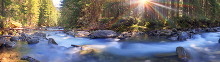 River at sunrise in the Carpathian forest - fast jet of water at slow shutter speeds give a beautiful fairy-tale effect. Ukraine is rich in water resources, in the Carpathian Mountains is legendary good ecologyの写真素材