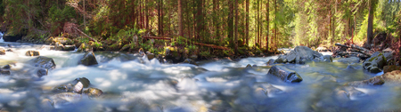 River at sunrise in the Carpathian forest - fast jet of water at slow shutter speeds give a beautiful fairy-tale effect. Ukraine is rich in water resources, in the Carpathian Mountains is legendary good ecologyの写真素材