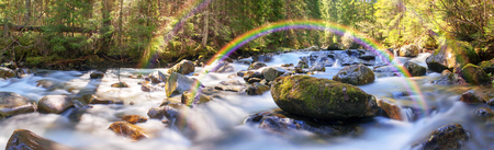 River at sunrise in the Carpathian forest - fast jet of water at slow shutter speeds give a beautiful fairy-tale effect. Ukraine is rich in water resources, in the Carpathian Mountains is legendary good ecologyの写真素材