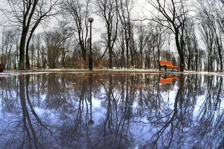 Â  Night view from the original puddles on the forest Kiev city at night in foggy Mariinsky park are lights and patterns of oak and chestnut branches in the blue sky and reflected in the waterの写真素材