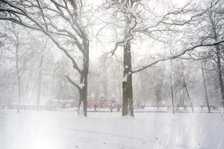 After the blizzard foggy morning janitor cleaner is working to remove snow and to strew sand past the icy lake under snow covered trees in the background of the cold urban park in Ukraineの写真素材