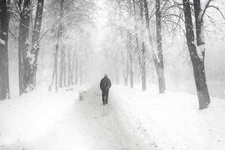 After a night of snow blizzard foggy morning silhouettes of passers citizens walking their pets under the snow-covered trees in the background of the cold urban park in Ukraine
の写真素材