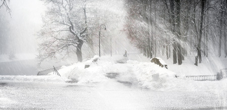 After a night of snow blizzard foggy morning silhouettes of passers citizens walking their pets under the snow-covered trees in the background of the cold urban park in Ukraine
の写真素材