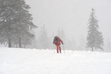 Tourist through a violent storm in the Carpathians is moving toward the goal. In the alpine zone of strong winds and snow impairs visibility and creates problems with orientationの写真素材