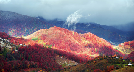 Cold autumn in Carpathian village. Bright colors after a snowfall blizzard is very beautiful scenic, beech, birch and pine forests and Hutsul houses on background ridge slopes Sokilskyの写真素材