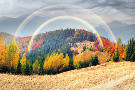 view of the Gorgan Hamster, Bruise, Javornik fall. Forest of beech and birch spruce beautiful colorful color after bad weather rain and snow on the background of picturesque mountainsの写真素材