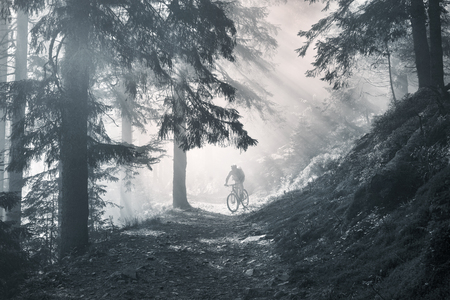 fog rider on a mountain bike overcome challenging tracks in the wild alpine forest at dawn on a background of the sun during the Ukrainian Carpathian marathon for off-road trails in the Carpathians
の写真素材